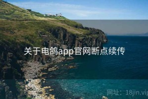 关于电鸽app官网断点续传