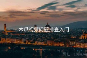 木瓜视频问题排查入门