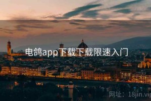 电鸽app下载下载限速入门