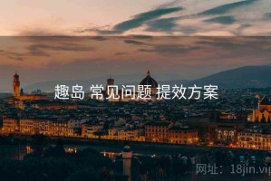 趣岛 常见问题 提效方案
