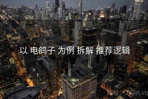 以 电鸽子 为例 拆解 推荐逻辑