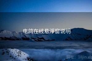 电鸽在线悬浮窗说明