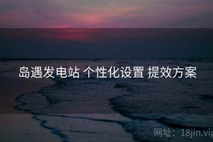 岛遇发电站 个性化设置 提效方案