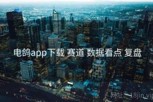 电鸽app下载 赛道 数据看点 复盘