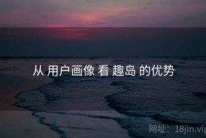 从 用户画像 看 趣岛 的优势