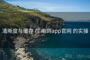 清晰度与缓存 在 电鸽app官网 的实操