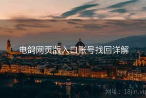 电鸽网页版入口账号找回详解