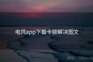 电鸽app下载卡顿解决图文