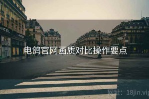 电鸽官网画质对比操作要点