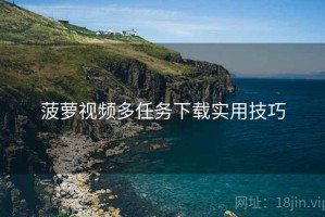 菠萝视频多任务下载实用技巧