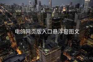 电鸽网页版入口悬浮窗图文