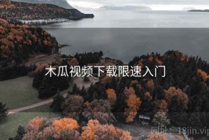 木瓜视频下载限速入门