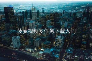 菠萝视频多任务下载入门