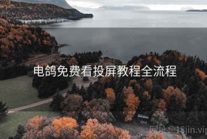 电鸽免费看投屏教程全流程