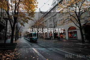 电鸽兑换码详解