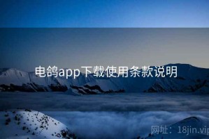 电鸽app下载使用条款说明
