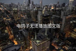 电鸽子无法播放图文版