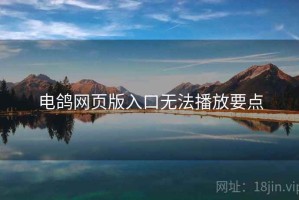 电鸽网页版入口无法播放要点