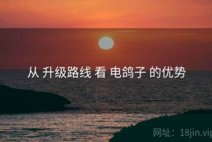 从 升级路线 看 电鸽子 的优势