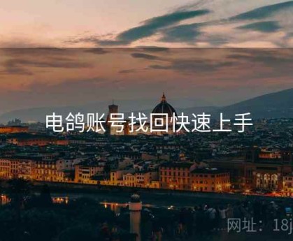 电鸽账号找回快速上手