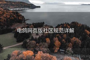 电鸽网页版社区规范详解