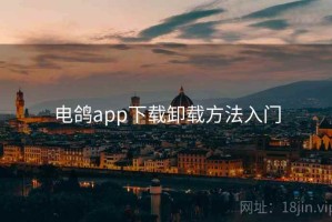 电鸽app下载卸载方法入门