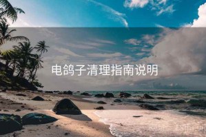 电鸽子清理指南说明