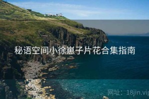 秘语空间小徐崽子片花合集指南