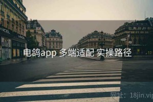 电鸽app 多端适配 实操路径