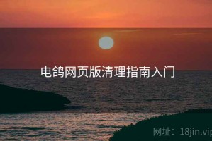 电鸽网页版清理指南入门