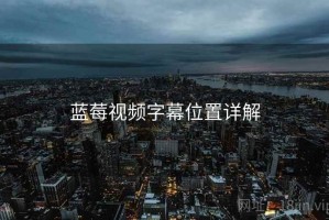 蓝莓视频字幕位置详解