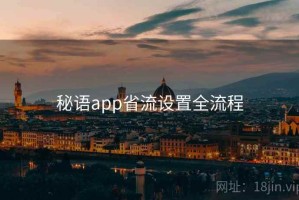 秘语app省流设置全流程