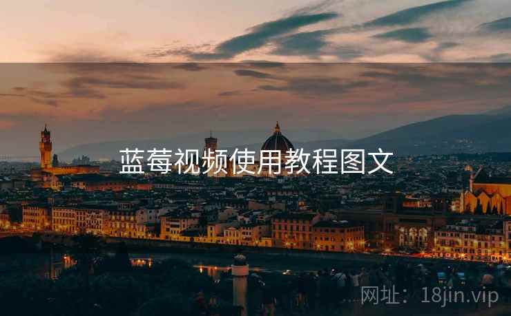 蓝莓视频使用教程图文