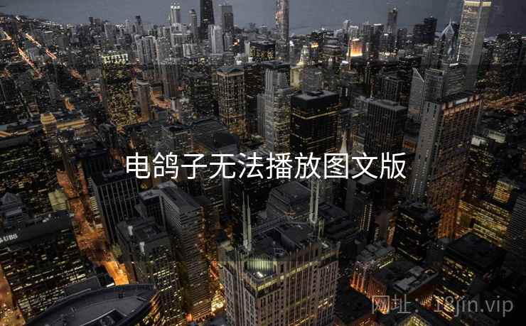 电鸽子无法播放图文版
