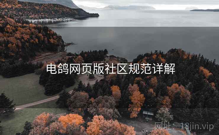 电鸽网页版社区规范详解