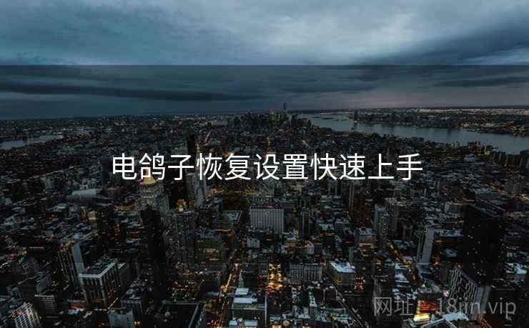 电鸽子恢复设置快速上手