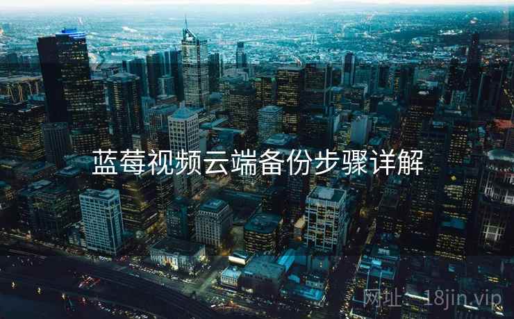 蓝莓视频云端备份步骤详解