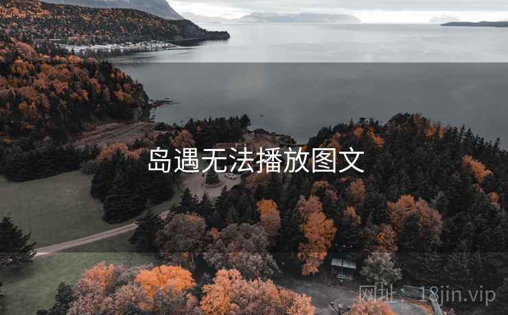 岛遇无法播放图文