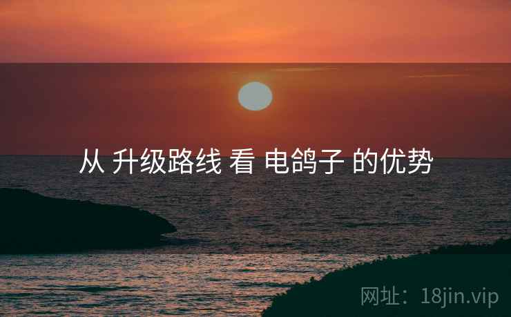 从 升级路线 看 电鸽子 的优势