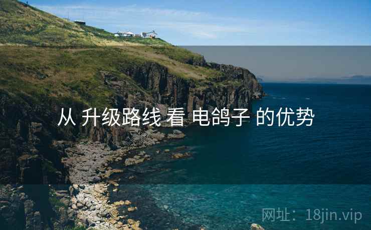 从 升级路线 看 电鸽子 的优势