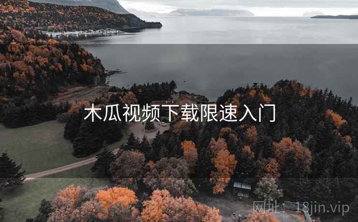 木瓜视频下载限速入门