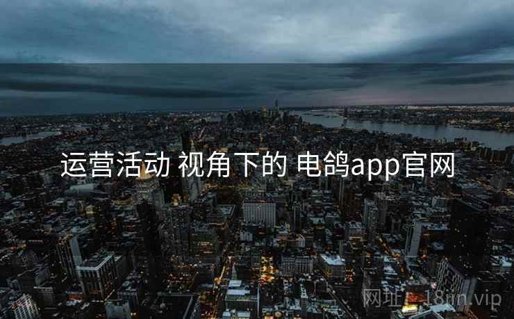 运营活动 视角下的 电鸽app官网