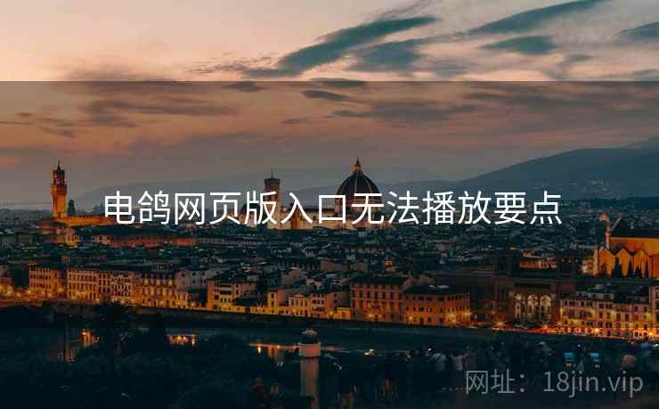 电鸽网页版入口无法播放要点