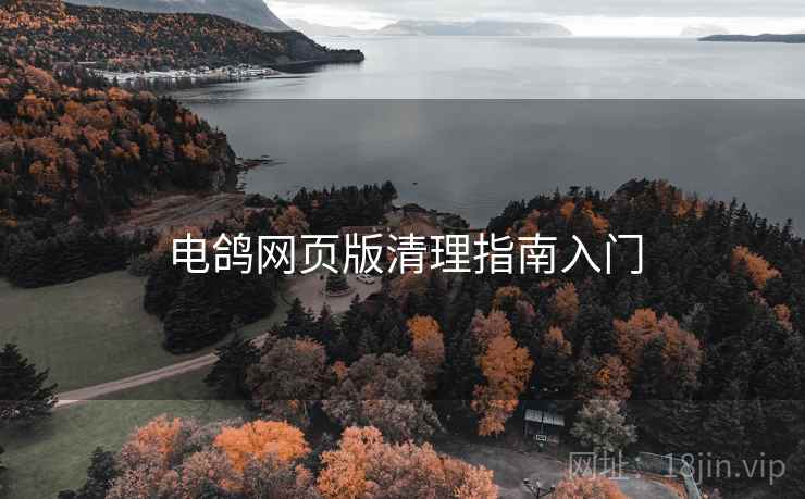 电鸽网页版清理指南入门