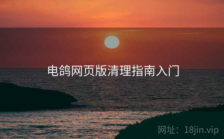 电鸽网页版清理指南入门