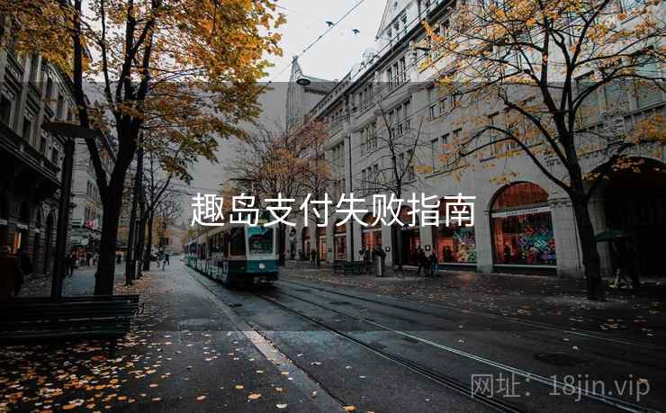 趣岛支付失败指南