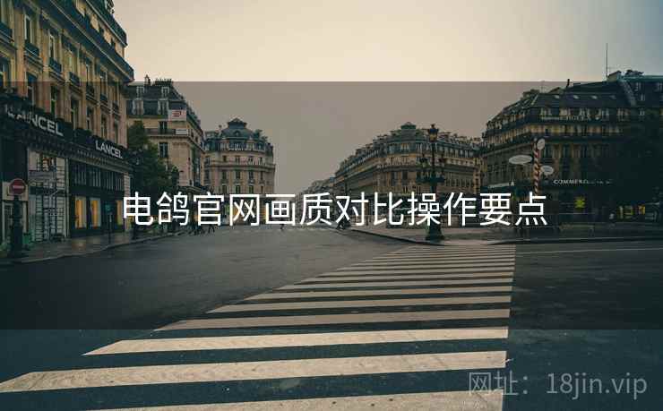 电鸽官网画质对比操作要点