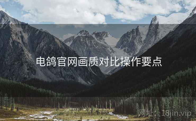 电鸽官网画质对比操作要点