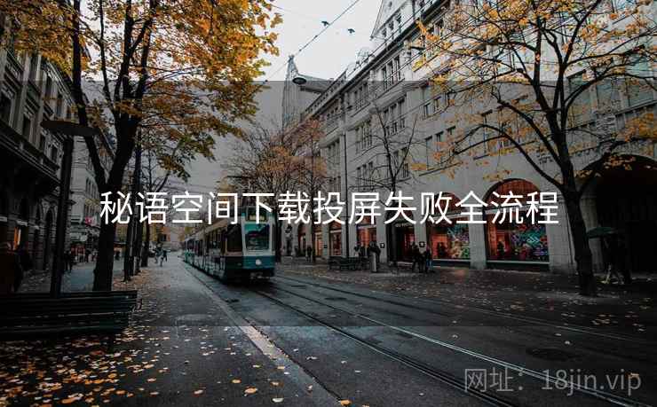 秘语空间下载投屏失败全流程
