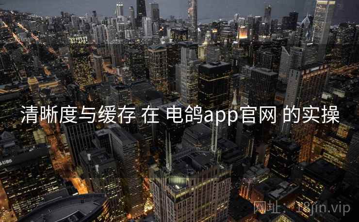 清晰度与缓存 在 电鸽app官网 的实操